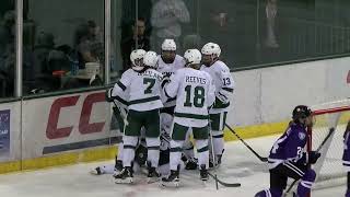 Bemidji State Womens Hockey Highlights vs St Thomas Jan 26 2024 [upl. by Rexferd]