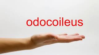 How to Pronounce odocoileus  American English [upl. by Sina888]