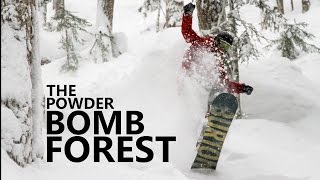 A Snowboarding Movie  The Powder Bomb Forest [upl. by Enitsugua]