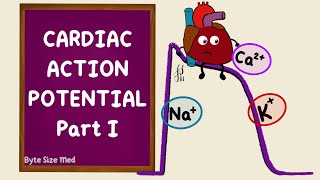 Ventricular Action Potential  Cardiac Action Potential  Part 1  Phases  Cardiac Physiology [upl. by Myrtle]