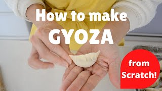 Lets make Gyoza dumplings withme from scratch EP176 [upl. by Ttayw]