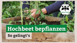 Hochbeet richtig bepflanzen – so gelingt’s [upl. by Annocahs]