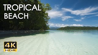 4K HDR Tropical Beach  Gentle Ocean Wave Sounds  Peaceful Wild Island  Relaxing Nature Video [upl. by Chilt]