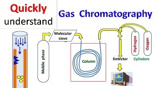 Gas chromatography  GC [upl. by Lednic512]