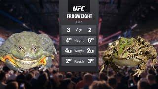 Ultimate Frog Championship  UFC 🐸 [upl. by Hardan]