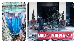 NEWS AquaDom  Aquarium in Berlin offenbar geplatzt  1500 Fische auf der Straße [upl. by Zetrok]