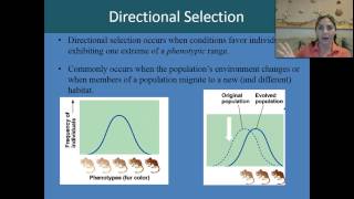 Stabilizing directional and disruptive selection [upl. by Adalie779]