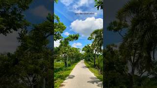 একটা চাঁদ জোৎস্না রাইতে 🤍banglasong banglakobita [upl. by Kehsihba376]