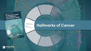 The Hallmarks of Cancer Research  CST [upl. by Andreana86]