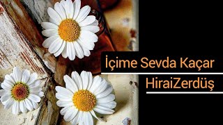 İçime sevda kaçar  HiraiZerdüş [upl. by Haseefan]