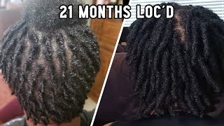 SHORT Locs  STARTER Locs  My BEGINNER 21 Month Loc Journey [upl. by Ettegroeg745]