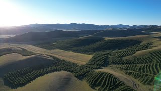 Live How the ThreeNorth Shelterbelt Forest Program combats desertification in China [upl. by Eteragram]