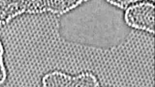 Carbon atoms moving at the edge of a hole in graphene [upl. by Ainoval816]