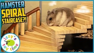 HAMSTER UPGRADES Izzys Toy Time makes some wood toy MEGA UPGRADES Fun Toys [upl. by Abehsile]