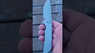 Protech Mordax CPM20CV Button Lock edcknife edc knifecommunity protechknives [upl. by Gerald]