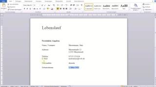 Einfacher tabellarischer Lebenslauf in Word [upl. by Brote239]