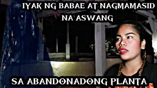 NAGMAMASID NA ASWANG AT IYAK NG BABAE SA ABANDONADONG PLANTAshielaghost21 roadto30ksubs creepy [upl. by Kristyn]