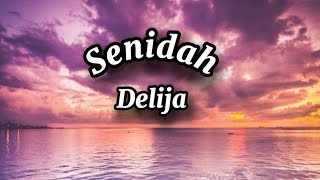 Senidah  Delija Lyrics tekst [upl. by Cosme]