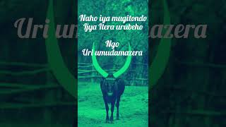 Umudamazera By Nina Gakwisi  lyrics  lyrics rwanda [upl. by Otrebor]