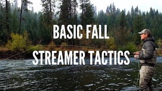 Basic Streamer Fly Fishing Tactics for Trout in the Fall [upl. by Ynabe166]