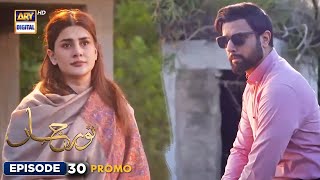 New Noor Jahan Episode 30  Promo  ARY Digital [upl. by Lybis]