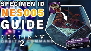 How to Complete Failsafe SPECIMEN ID NES005 Complete Guide ► Destiny 2 [upl. by Triny]