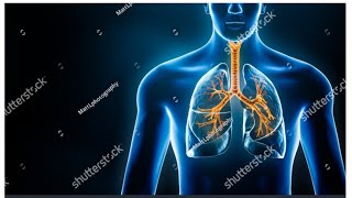 Anatomy of thorax Thorax wall amp intercostal space [upl. by Particia671]