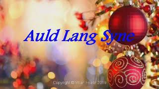 Auld Lang Syne  Accordion [upl. by Ertsevlis]