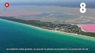 10 cosas que deberías saber sobre Las Coloradas Yucatán [upl. by Melissa]