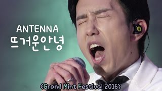 4K직캠 뜨거운안녕  안테나레이블 in gmf 2016 헬로안테나 [upl. by Ecnaret]