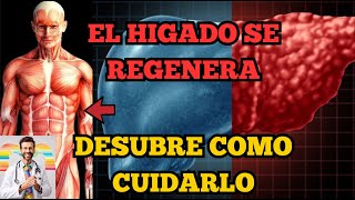 La ASOMBROSA Capacidad del HIGADO para Regenerarse Todo lo que Necesitas Saber para Cuidarlo [upl. by Peggie981]