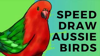 Speed Draw  How to Draw Aussie Birds [upl. by Nydia]