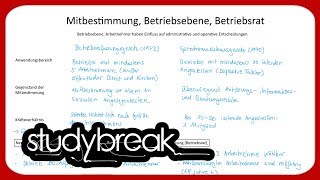 Mitbestimmung Betriebsebene Betriebsrat  Betriebswirtschaftslehre [upl. by Karilla409]