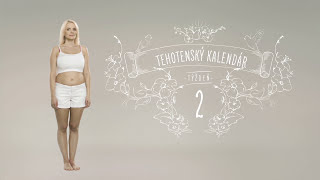 Tehotenský kalendár 2 týždeň [upl. by Neelloc]