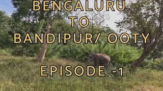 Trip to Bandipur National Park  Bandipur Tiger Reserve Ooty Kabini Part 1 [upl. by Gresham]