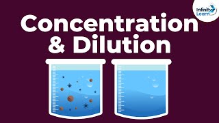 Dilute or Concentrated AcidsBases  Dont Memorise [upl. by Suivatal]