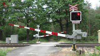 Železniční přejezd Lysá nad LabemDvorce 2 P2775  962021  Czech railroad crossing [upl. by Gine]