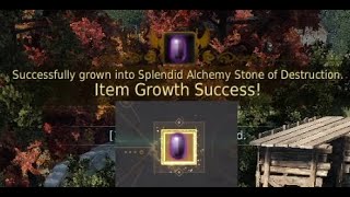 Black Desert  Splendid Alchemy Stone of Destruction Clicks [upl. by Akihc]