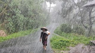 3 Hours Walking in Super Heavy Rain in Village Life Thunderstorms and Strong Winds Very Cold Sleep [upl. by Eitirahc]