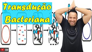 Transdução Bacteriana  Conceito e Processo  Reprodução Bacteriana  Microbiologia [upl. by Llenod]