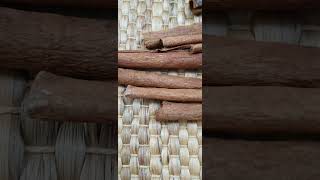 cinnamon vs cassia shorts bestfoodvideos cinnamon food spices cookingclass recipe [upl. by Steel]