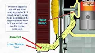 How Car Cooling System Works [upl. by Nicholas]