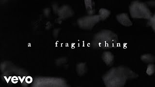 The Cure  A Fragile Thing Official Lyric Video [upl. by Ahsineg]