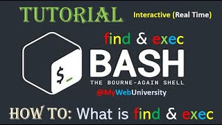 Linux Tutorial How To What is find amp exec [upl. by Aihsit682]