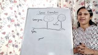 class 7 NCERT Ch Reproduction in Plants Asexual reproduction Spore Formation [upl. by Beatrix]