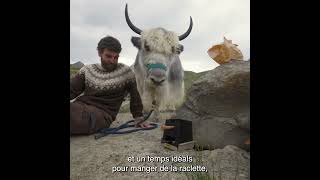 Idée dexcursion avec des yaks et une raclette [upl. by Damas]