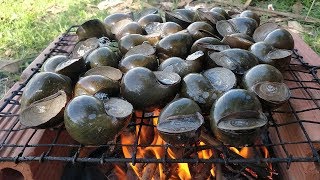 RIVER SNAIL  Snail Grilling Recipe  Grilled Snail with Yummy Ingredient [upl. by Drofwarc924]