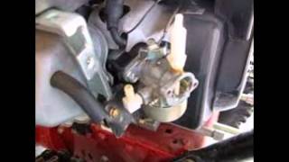 How to Clean Up Tecumseh Carburetor Parts [upl. by Balliett]