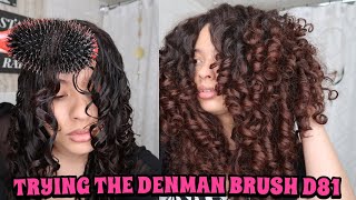 TRYING THE DENMAN BRUSH D81 FOR CURL DEFINITION  A better Denman Brush 2c3a3b curls [upl. by Aicilana]