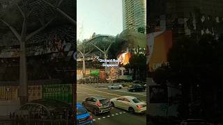 Orchard Road Singaporeshorts [upl. by Uke]